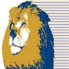 Lehigh Valley Christian logo