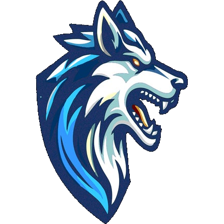 Loudoun Sports Academy Timberwolves logo