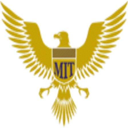 Maricopa Institute Of Technology Iron Eagles logo