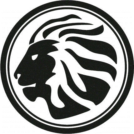 Martin Luther King Jr. Magnet logo