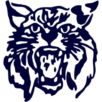 Mckeel Academy Wildcats logo