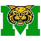 Milan logo