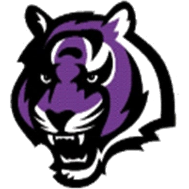 Millennium logo