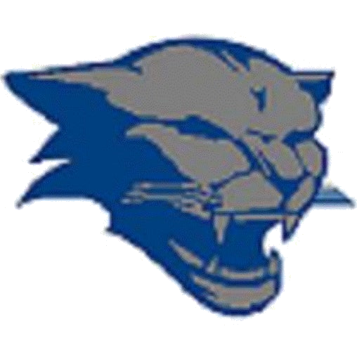 Morel Campos logo