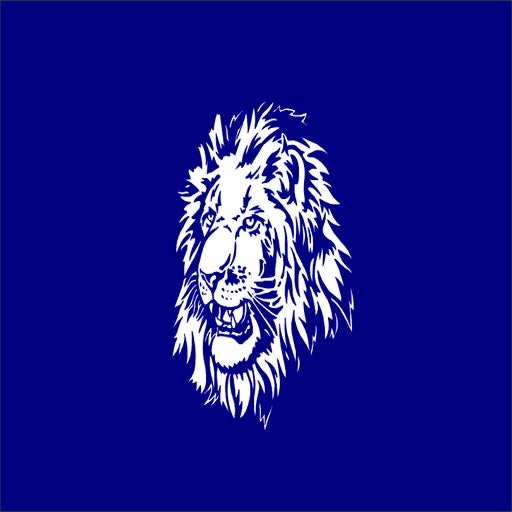 Mount Airy Christian Academy logo