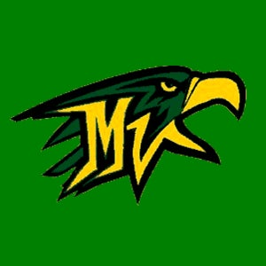 Mountain Vista logo