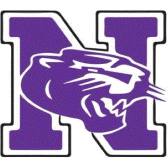 Nashua South logo