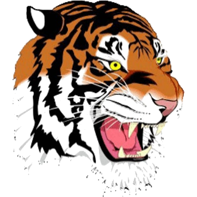 Newton North logo
