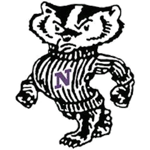 Niagara logo