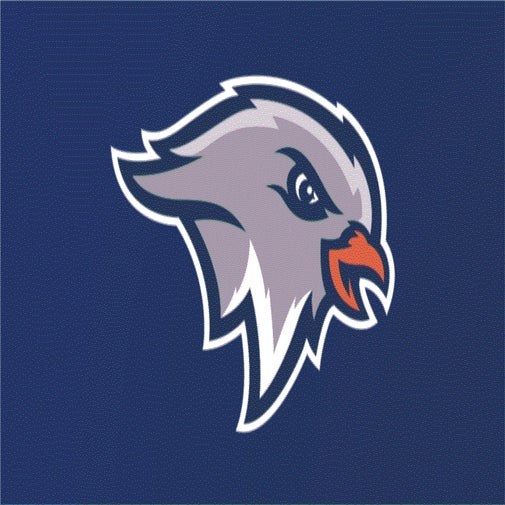 Nightingale-Bamford logo