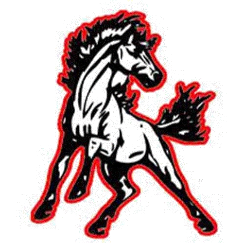 North Pemiscot logo