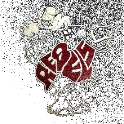 Owen County logo