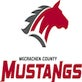 St. Mary logo