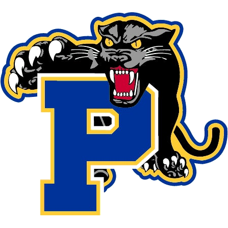 Palatka logo