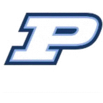 Palmetto logo