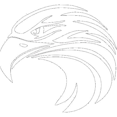 Pinnacle Classical Academy Eagles logo