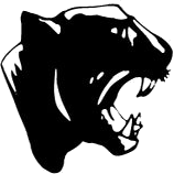 Platt logo