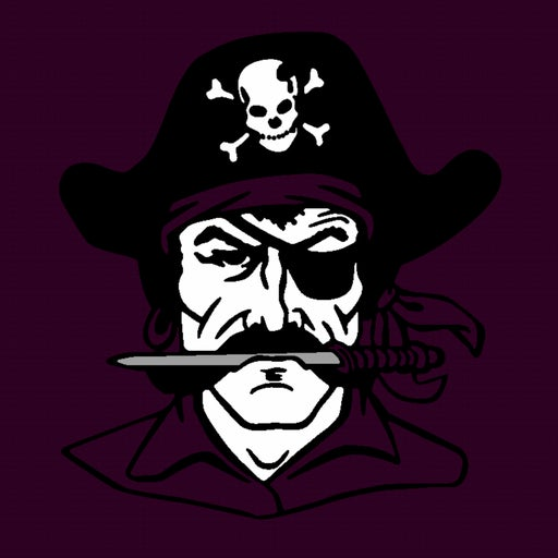 Pulaski County logo