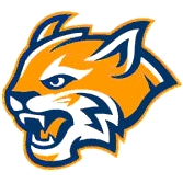 Rauner logo