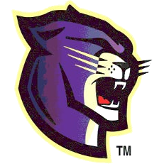 Salisbury logo
