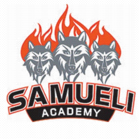 Samueli Academy Samueli Academy logo