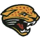 Shroder Paideia Academy Jaguars logo