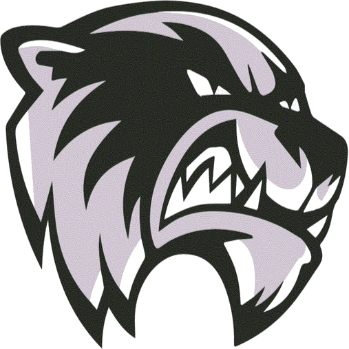 Skyview logo