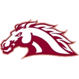 South Aiken logo