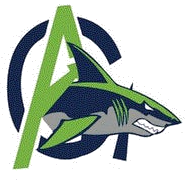 South Florida HEAT logo