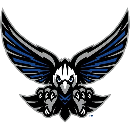 South Forsyth logo