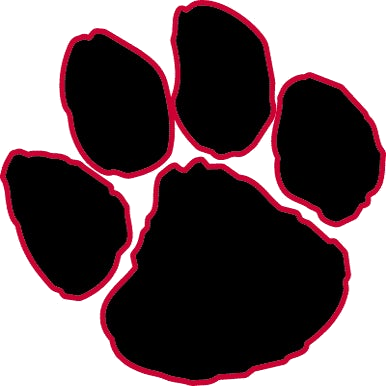 South Mecklenburg logo