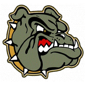 South Pemiscot logo