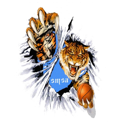 Sports And Medical Sciences Academy Tigers logo