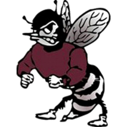 St Benedicts Prep Gray Bees logo