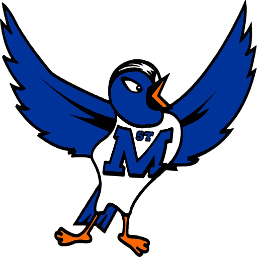 St. Mary Cathedral logo