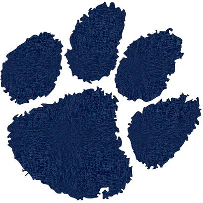 St Marys Academy Wildcats logo