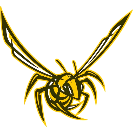 STEAD logo