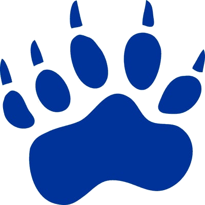 Stony Brook logo