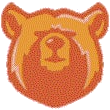 Summit Shasta logo