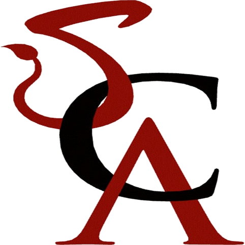 Sweethaven Christian Academy Lions logo