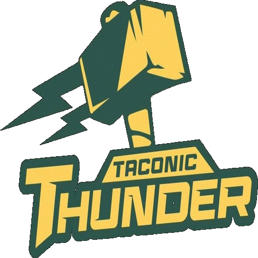 Taconic logo