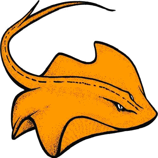 Texas City logo