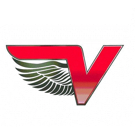 Vallejo logo