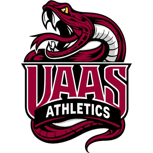 Valley Academy Vipers logo