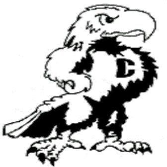 Valley Stream Central logo