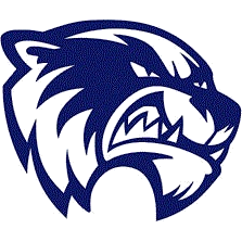 Vashon logo