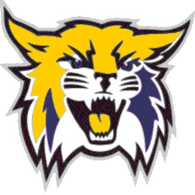 Verona logo