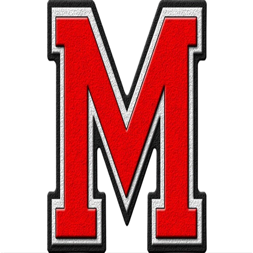 Vista Meridian logo