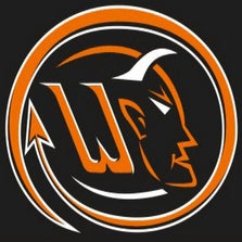 Washington logo