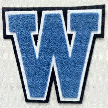 Washington logo